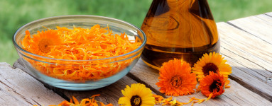 Nechtík (Calendula officinalis)